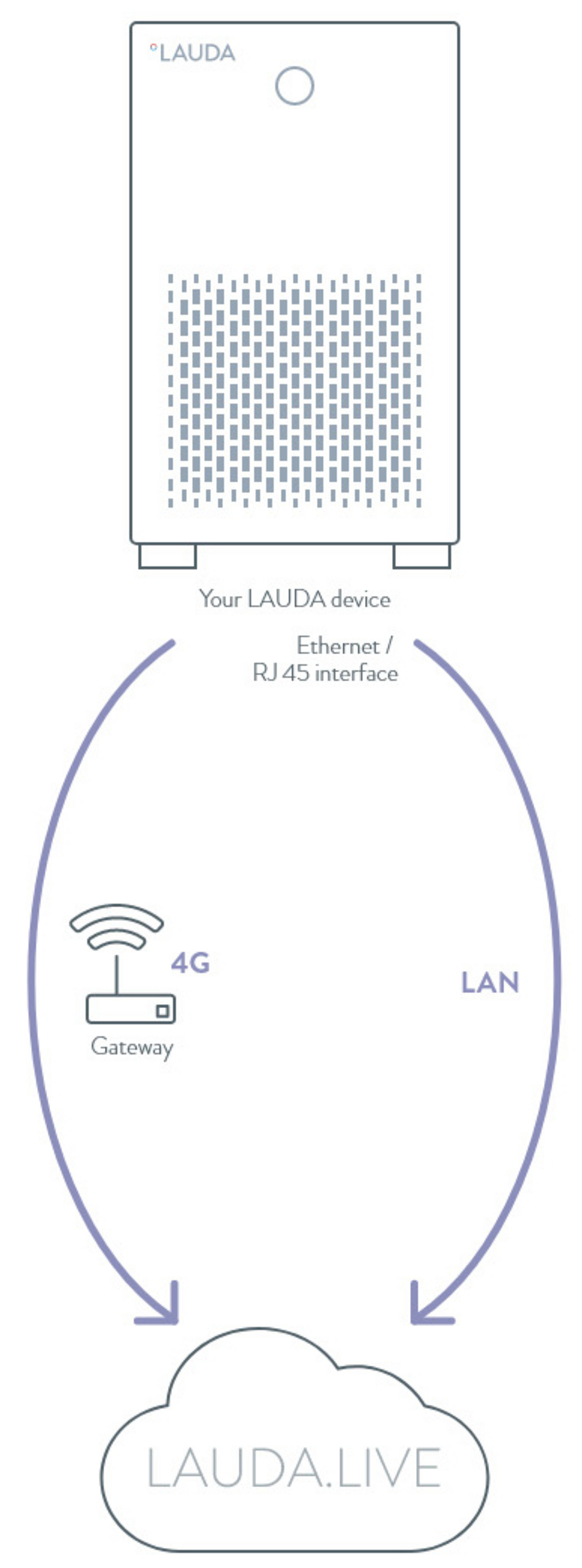 Sketch-like representation of how LAUDA.LIVE works.